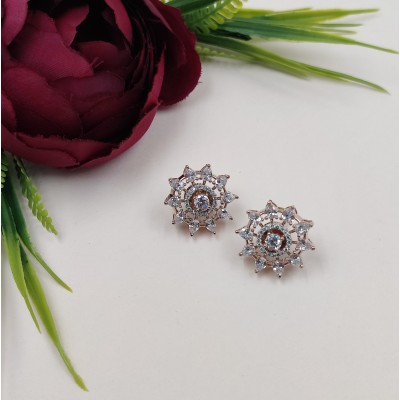 Elegant Glamour Roundy Shape Earring 